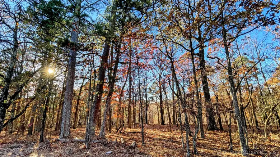 14 Big Bear Road, Kansas, OK 74347 - #3