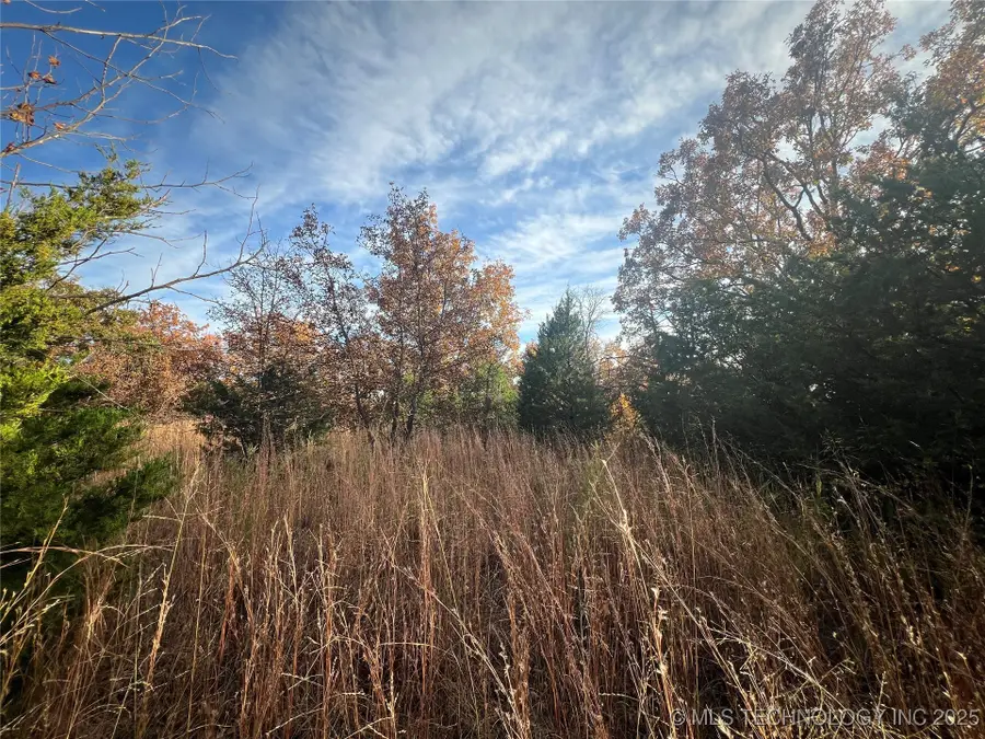 0029 Ruisdael Road, Sand Springs, OK 74063 - Image #2