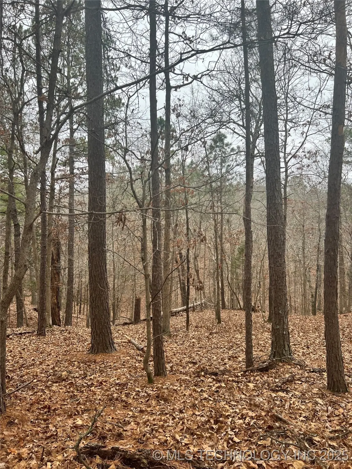 Deer Path Road, Kansas, OK 74347 - Image #1