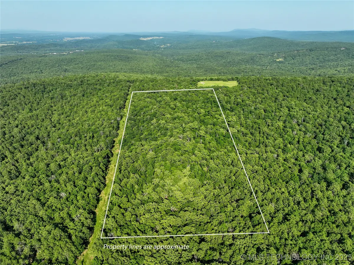 1 Hulsey Prairie, Panola, OK 74559 - Image #1