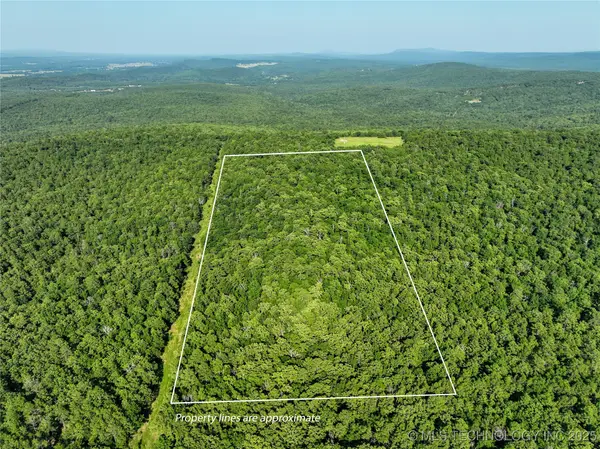 1 Hulsey Prairie, Panola, OK 74559