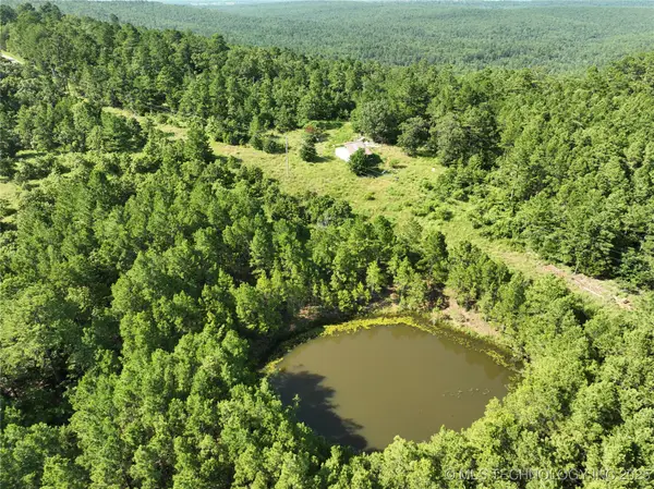 2 Hulsey Prairie, Panola, OK 74559