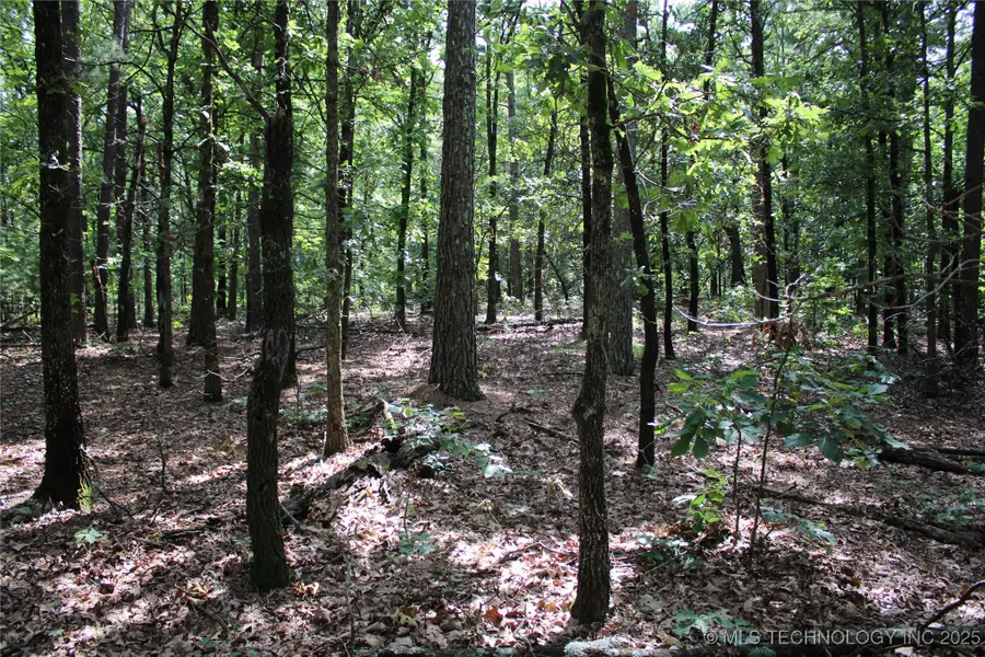 243 S 620 Road, Jay, OK 74346 - Image #2