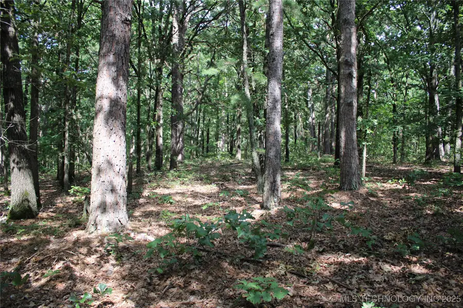 243 S 620 Road, Jay, OK 74346 - Image #3