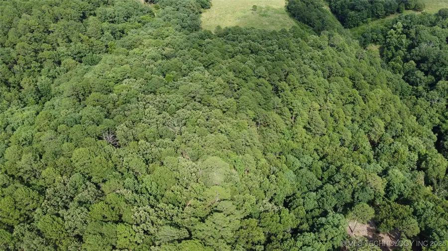 1 E 484 Road, Jay, OK 74346 - Image #2