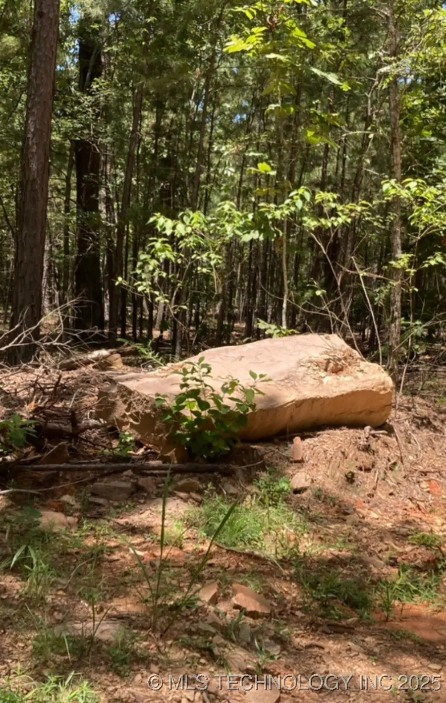 Whispering Pines, Antlers, OK 74523 - Image #2