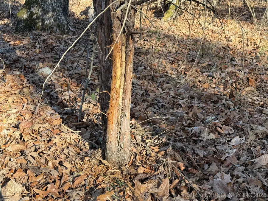 4540 Rd S, Vian, OK 74962 - Image #3