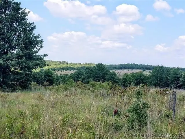 Radio Tower Road, Stuart, OK 74570 - #2