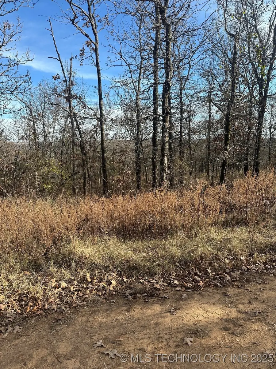 S 4557 Road, Vian, OK 74962 - Image #2