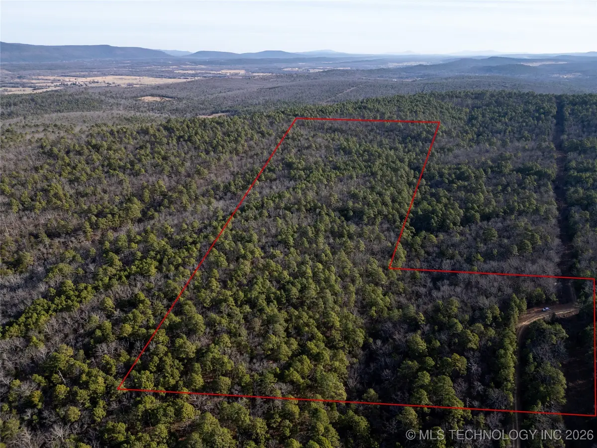 4 Hulsey Prairie, Panola, OK 74559 - Image #1