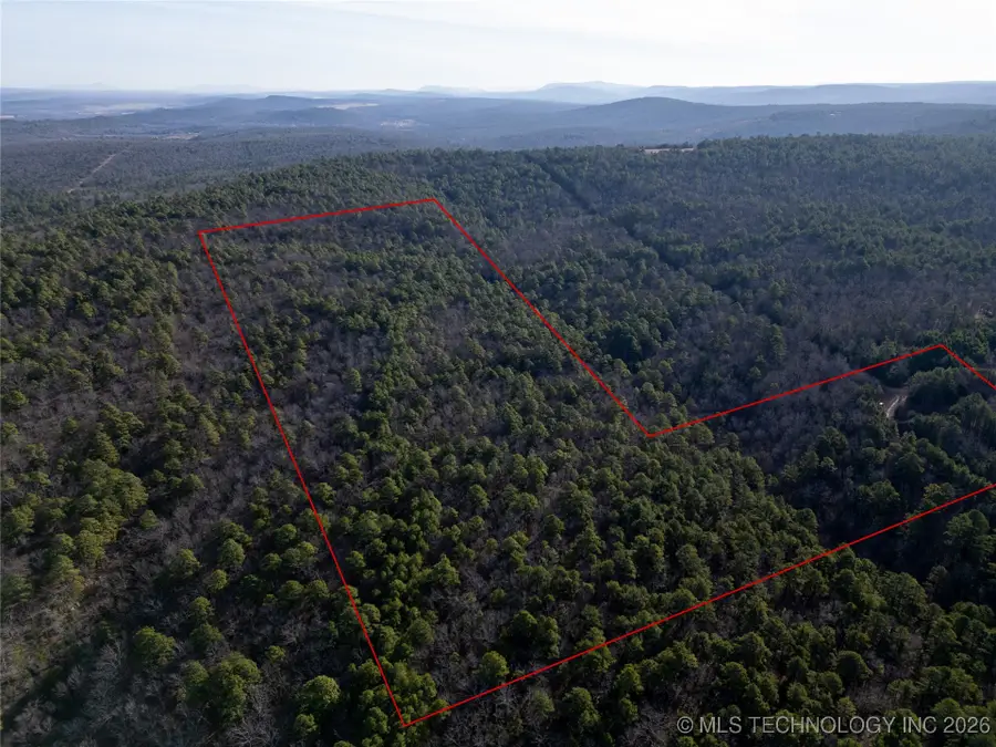 4 Hulsey Prairie, Panola, OK 74559 - Image #3