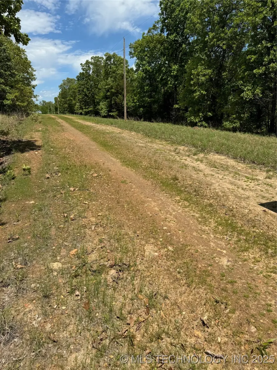 13 S 4532 Road, Vian, OK 74962 - #3