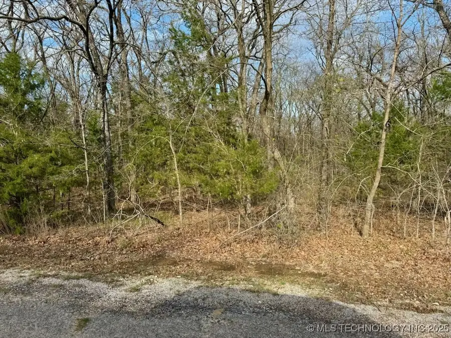 00 Mystic Oak, Kingston, OK 73439 - #3