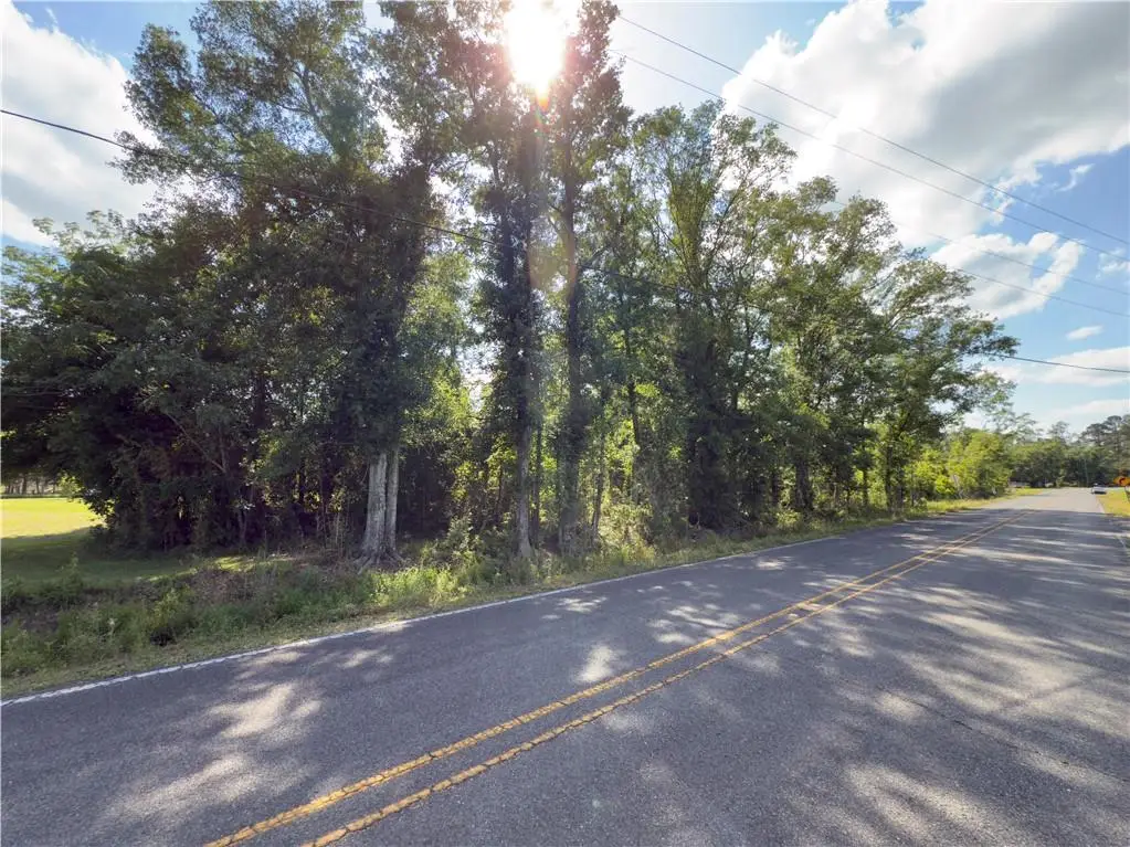 Bear Island Rd. 3.10 Acres Sec 7-9-6 Road, Maurepas, LA 70449 - #1