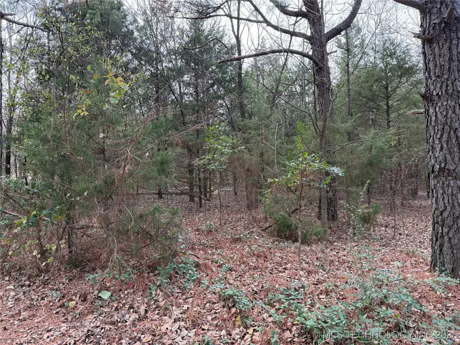 103rd Street, Sperry, OK 74073 - #3