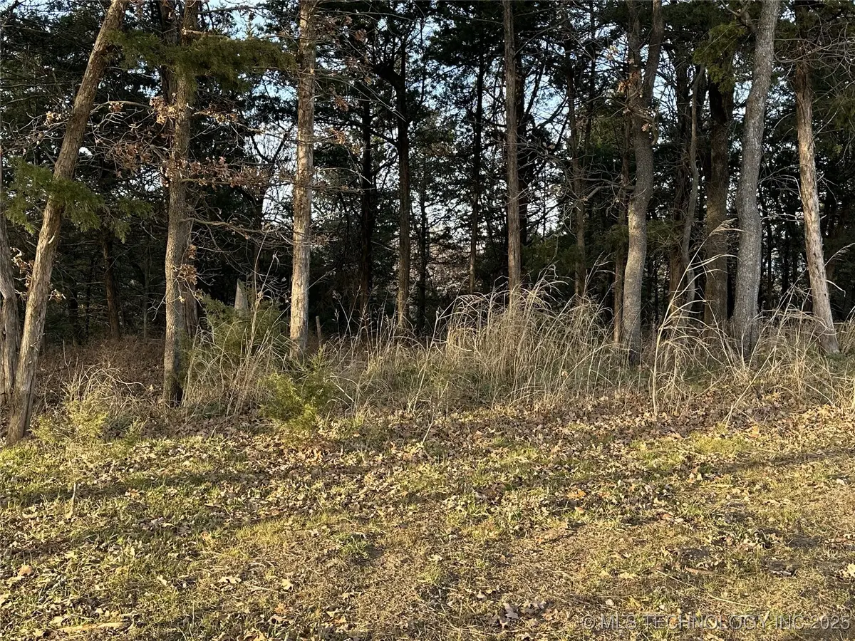 1 Sleepy Hollow Drive, Cleveland, OK 74020 - Image #1