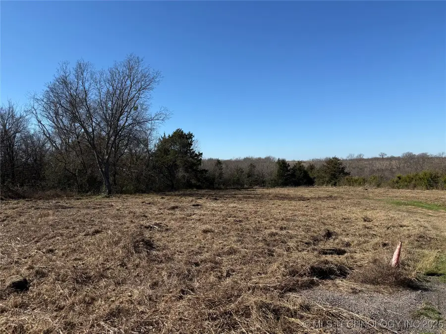 State Hwy 78, Achille, OK 74720 - Image #3