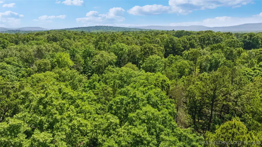 87499 S 4640 Road, Bunch, OK 74931 - Image #3