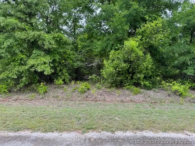 0 Diamondhead, Burneyville, OK 73430 - Image #1