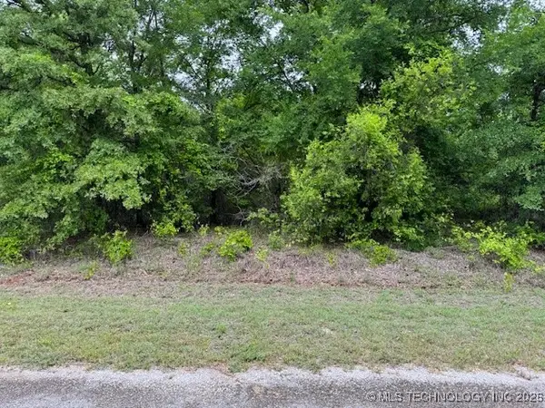 0 Diamondhead, Burneyville, OK 73430