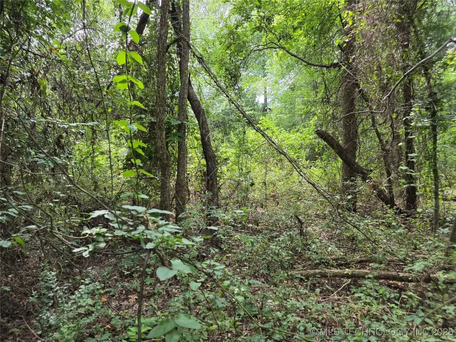 221st East Ave Avenue, Tullahassee, OK 74429 - #3