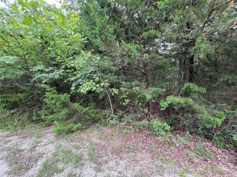 0 Hickory Court, Kingston, OK 73439 - #2