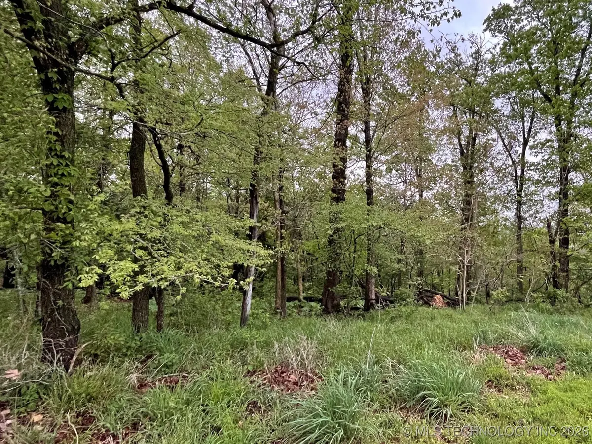 1229 Pheasant Run Road, Kansas, OK 74347 - #1