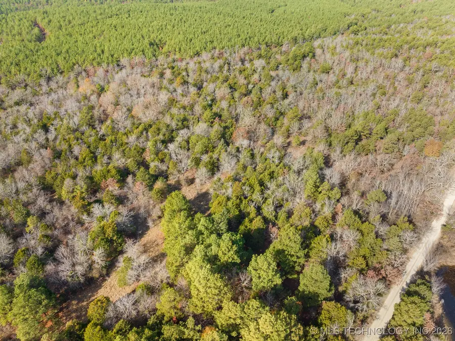 34 Tram Trail, Rattan, OK 74562 - #3