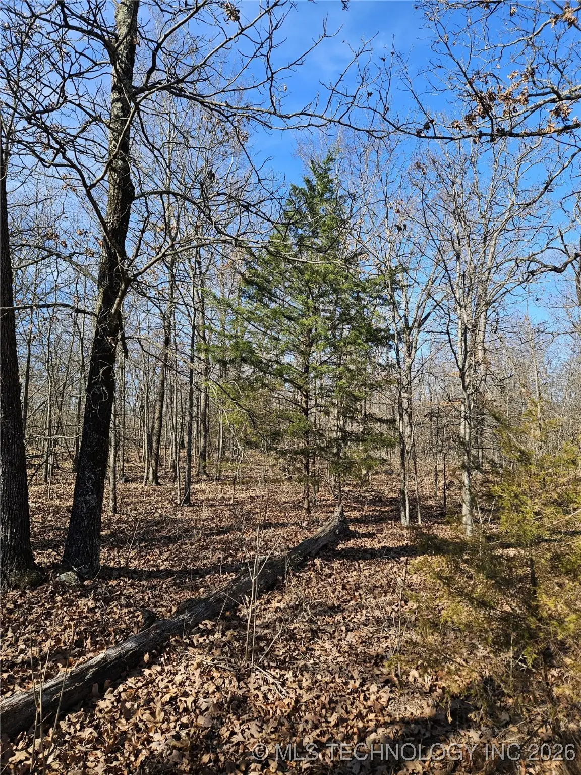 54601 E 233 Road, Afton, OK 74331 - #1