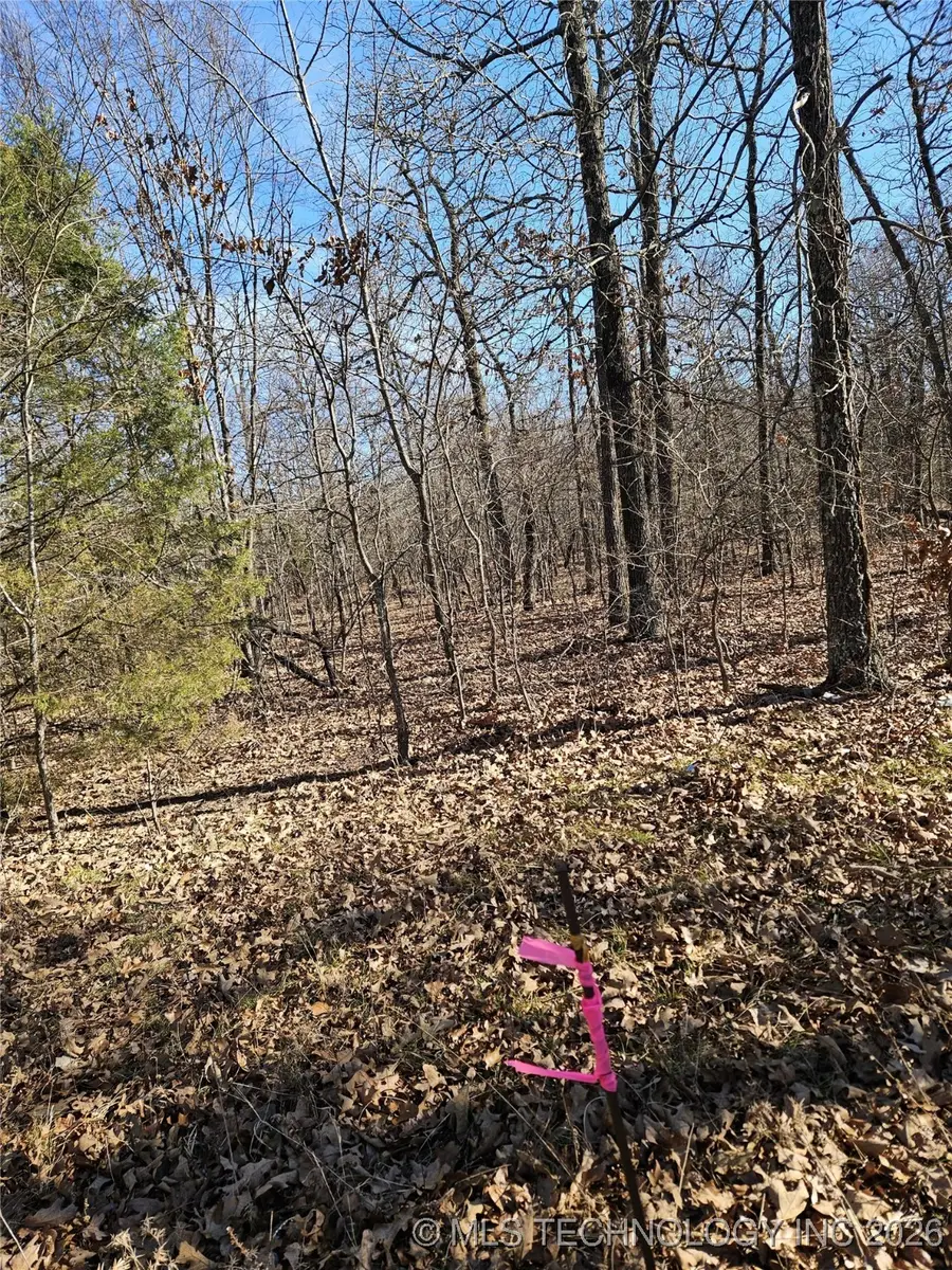 54601 E 233 Road, Afton, OK 74331 - #2