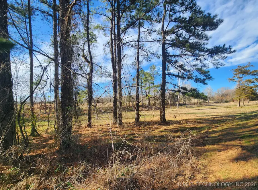 11023 S Bentley, Central Atoka, OK 74525 - #3