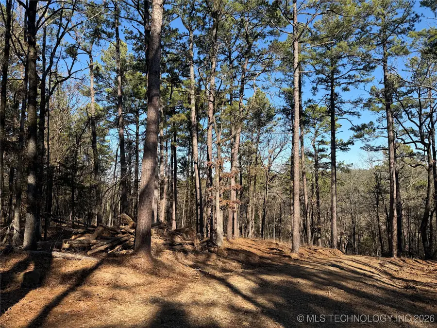4 Goats Bluff Road, Wister, OK 74966 - #3
