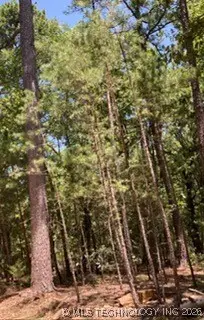 Whispering Pine, Antlers, OK 74523 - #1