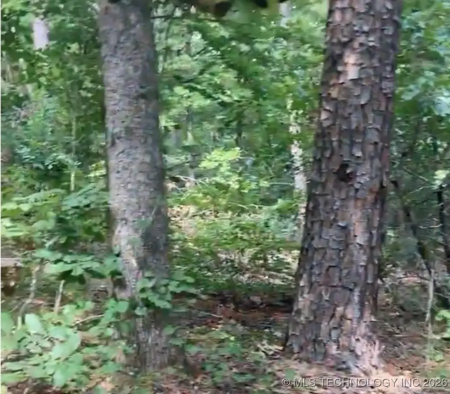 Whispering Pine, Antlers, OK 74523 - #3