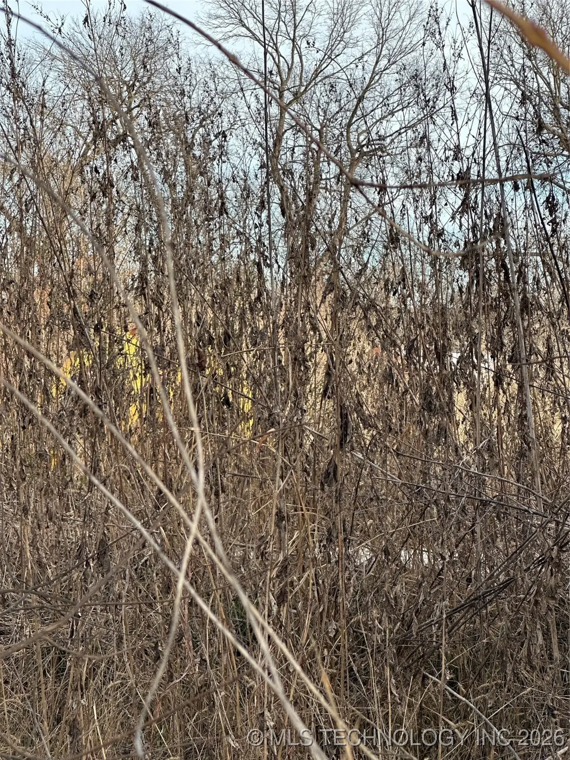 0 Us Hwy 77, Davis, OK 73030 - #1