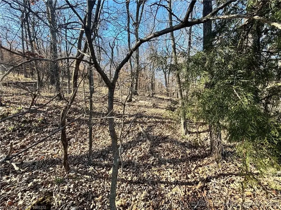 W Kelsey Drive, South Cherokee, OK 74451 - #3