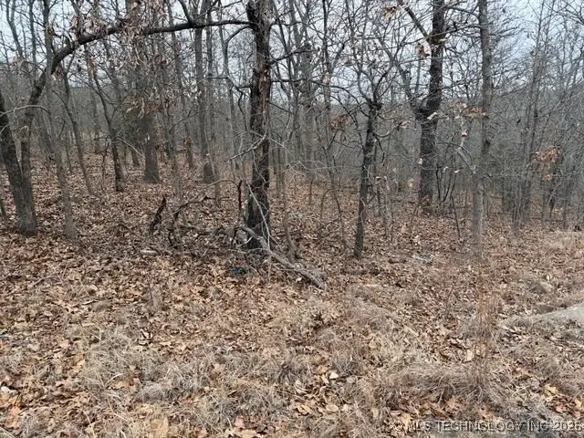 S Maple Drive, Kellyville, OK 74039 - #2