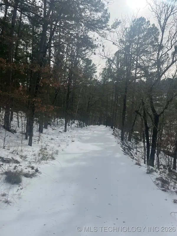 34 Tram Trail, Moyers, OK 74557