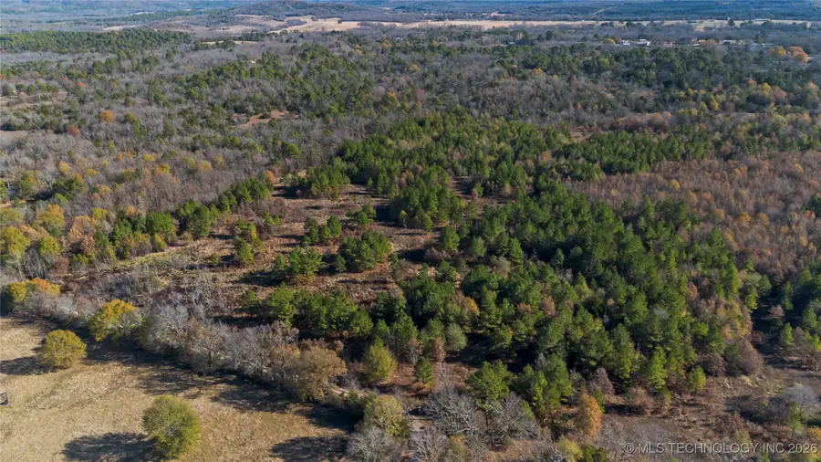 0000 N 4530 Road, North Pushmataha, OK 74536 - Image #3