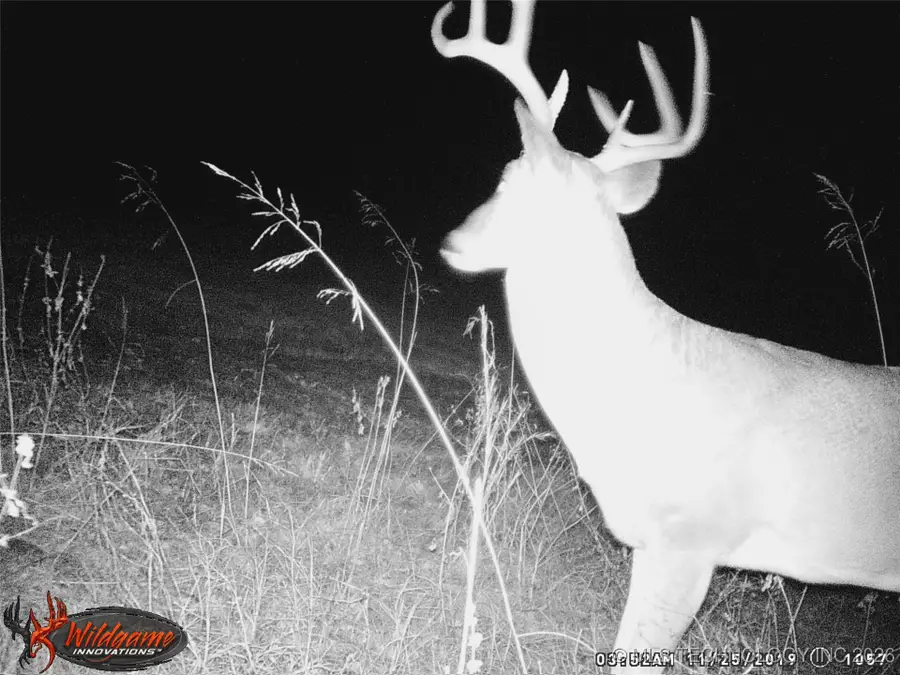 374000 W 1170 Road, Wetumka, OK 74883 - #2