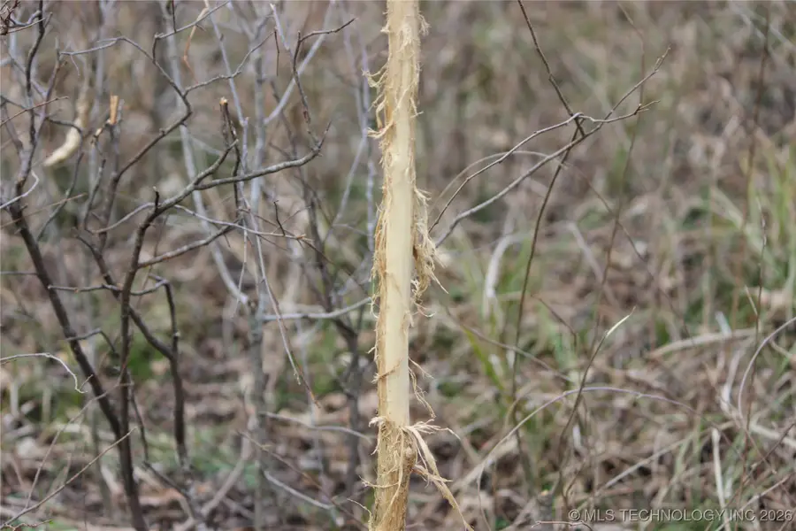 Address Withheld By Seller, Okemah, OK 74859 - #3