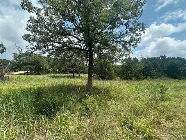 Alberta Creek, Kingston, OK 73439 - #3