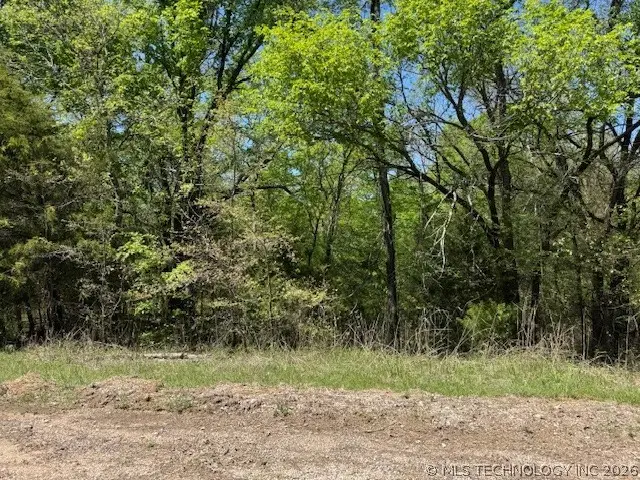 00 Carter Road, Burneyville, OK 73430 - #2