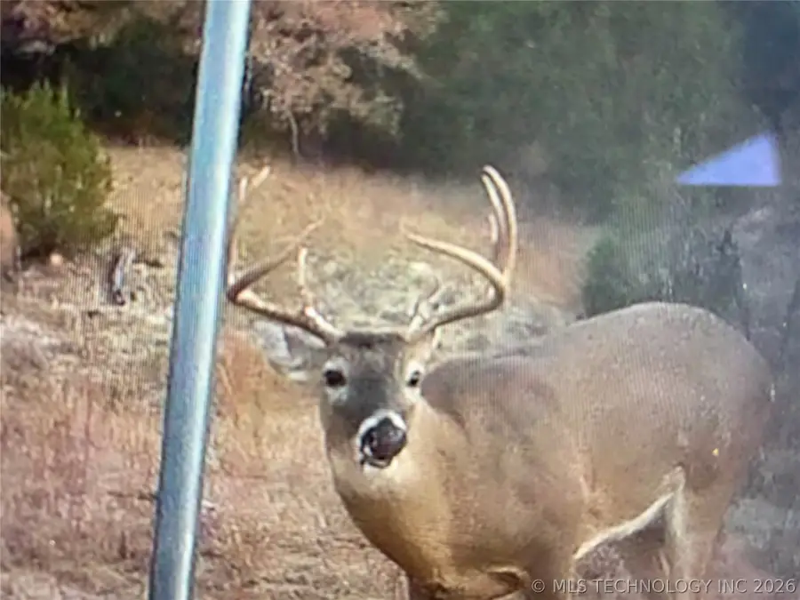 117 Pickens Road, Madill, OK 73446 - #3