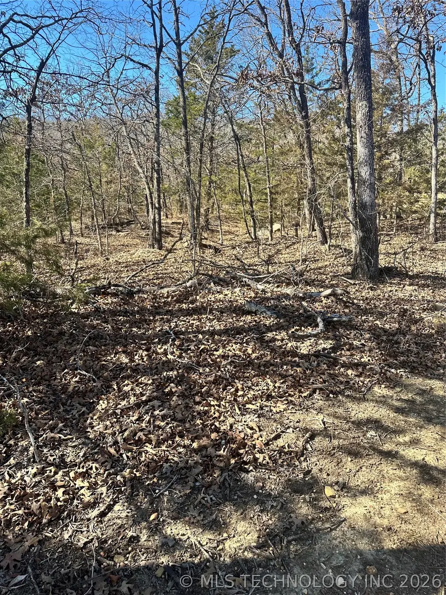 County Road 1560, Ada, OK 74820 - #3