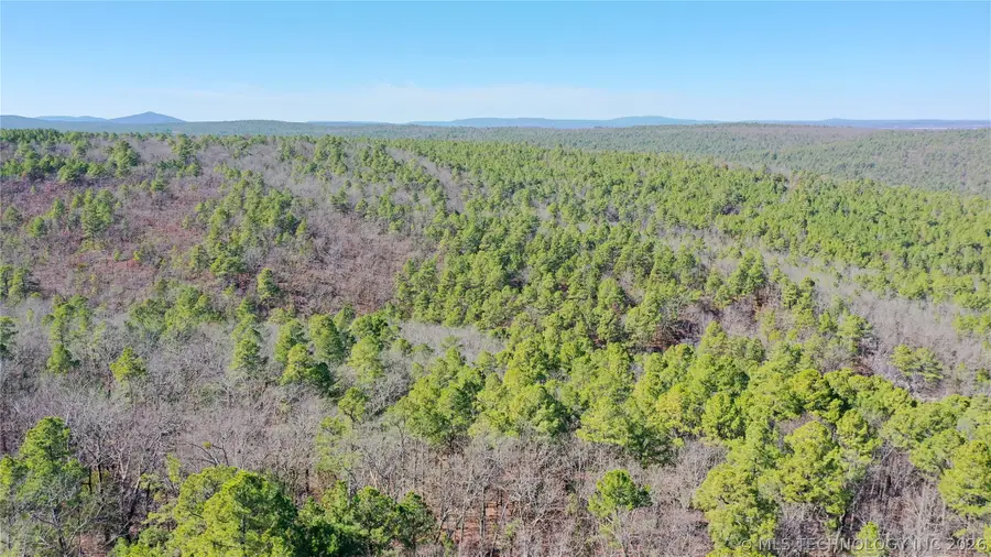 County Road 1342, Red Oak, OK 74563 - #2