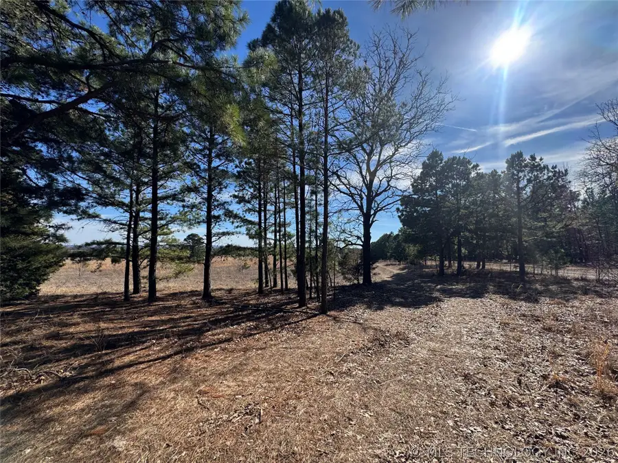 E 785 Road, Welling, OK 74471 - #2