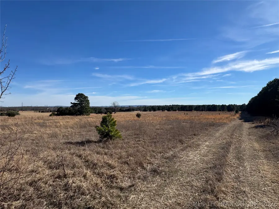 E 785 Road, Welling, OK 74471 - #3
