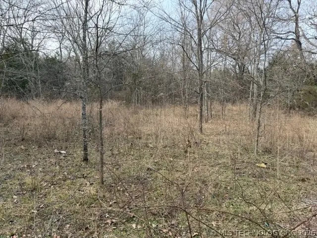 Bengal Road, Panola, OK 74559 - #2