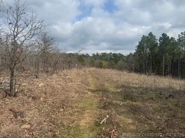 E 1732 Road, Clayton, OK 74536 - #1